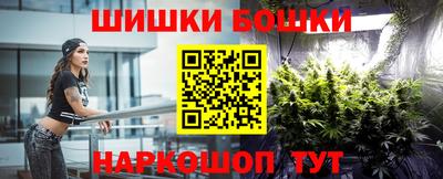 стаф Новодвинск