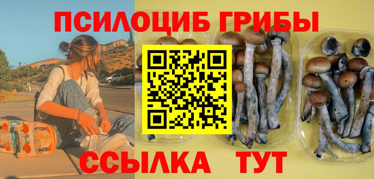 Псилоцибиновые грибы прущие грибы Холмск