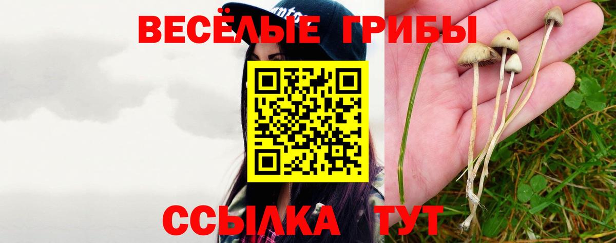 Псилоцибиновые грибы мицелий  Галлюциногенные грибы Psilocybe  Вход с VPN  Холмск 